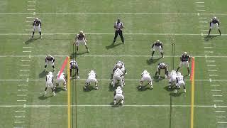 2018 Georgia Tech vs Pittsburgh - Flexbone Offense (GT OFFENSE ONLY)