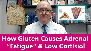 How Wheat/Gluten Causes Adrenal "Fatigue" and Low cortisol