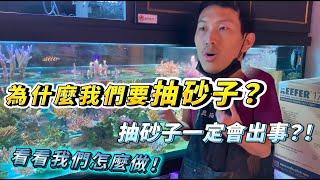 【藍箱水族】展示缸抽底砂實況！三年累積的超髒抽除底沙！