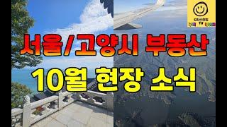 [감사스마일 TV 라이브] 서울 가재울, 수색증산뉴타운, 고양시 덕양구 삼송벨트 현재 부동산 분위기