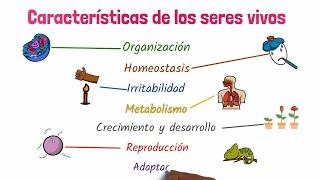 Características de los seres vivos