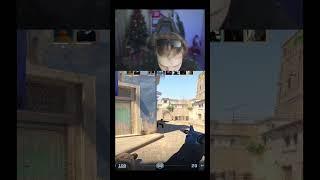 Twitch: Strogo #shorts #twitch #clips #strogo #cs2