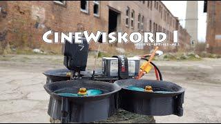 CineWiskord I - cinewhoop bando FPV