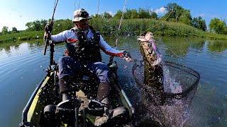 Fry Balls &  DRAGONS : Popping Snakehead Fry Balls: Lures, Tips, and Tricks Kayak Fishing Maryland