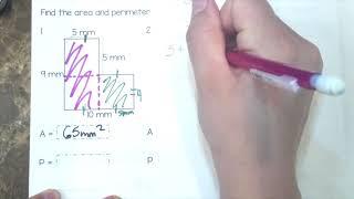 Practice Page for Area & Perimeter of Polygons