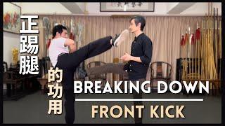 腿法-正踢腿 的功用 Breaking Down Front Kick