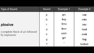 The sound of English -Plosive sounds - Consonants