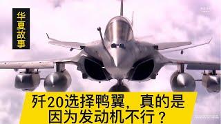 【最新】歼20选择鸭翼，真的是因为发动机不行？