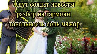 Ждут солдат невесты // разбор на гармони тональность соль мажор