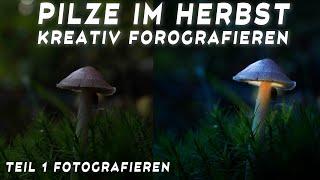 Pilze fotografieren im Herbst Pilze zum leuchten bringen GANZ EINFACH schritt für schritt