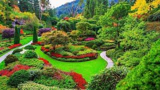 Enchanting Gardens - A Journey Through Natures Beauty