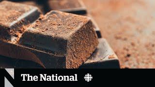 Several dark chocolate brands contain traces of lead, cadmium: study