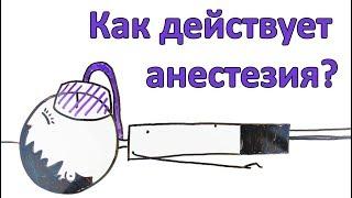 Как действует анестезия? Что такое наркоз?