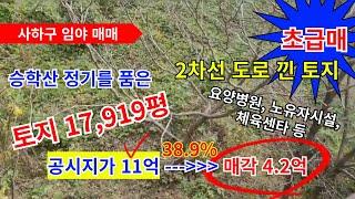 초급매물 부산토지매매...공시지가의 38.9%의 매각금액 당리동 2차선 도로를 낀 임야매매...요양병원, 노유자시설, 체육센타 등 공시지가 11억을 매각금액4.2억으로 초급매 함