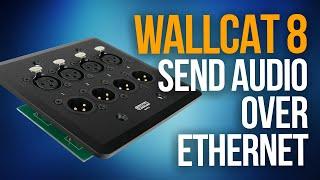 HOW TO SEND AUDIO OVER ETHERNET WITH THE WALLCAT 8 | Unboxing and Review