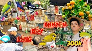 25 Tết Âm Lịch lên Chợ Phiên Yên Phúc tậu LỒNG BẪY chim Khuyên và cái kết Bất Ngờ || Đạt Bird TV