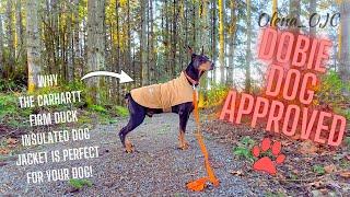 Why the Carhartt Firm Duck Insulated Dog Jacket is perfect for your dog! #carhartt #dogcoat