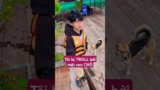 𝐓𝐨𝐧𝐲 TROLL Dog & ending up being TROLL #short #tonytv #troll