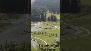 betaab valley pahalgam || youtube shorts #virals #pahalgamtourism #betaabvalley #beautifulplace