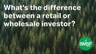 What's the difference between retail and wholesale investors?