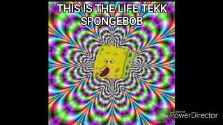 This is the life tekk | Spongebob