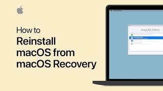 How to reinstall macOS from macOS Recovery — Apple Support