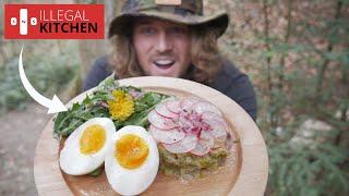 Cooking a gourmet vegetarian dish in the forest. Illegal kitchen EP.4