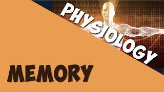 Memory | Physiology | Biology | AddyESchool