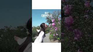 연인끼리 데이트 코스로 최고 울산에서 가볼만한곳  #울산여행 #연인 #데이트 #관광지소개