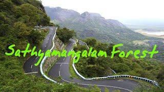 Sathyamangalam Forest 27 Hairpin Cuts