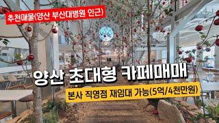 양산 부산대학교병원 인근 초대형카페 매매(매매후 본사 재임대 가능), 양산시 물금읍 범어리