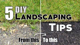 5 Cheap & Easy DIY Landscaping Tips & Ideas (Plus Bonus Tips!) 