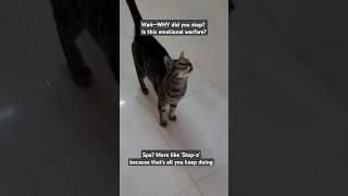 The Untold Story of the Half-Massage..........
