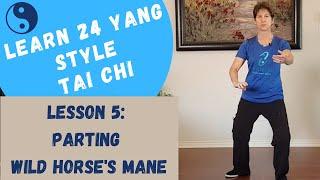 Yang Style Tai Chi: Parting Wild Horses Mane; Step-by-Step Instructions