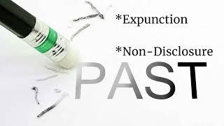 Collin Evans Law - Houston Expungement Lawyer - Difference Between Expunction and Non-Disclosure