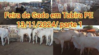 Feira do Gado em Tabira PE 13/11/2024/ parte 1