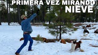 Buscando El Lago Congelado PRIMERA VEZ MIRANDO NIEVE