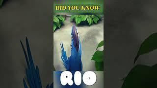 Blu from RIO Was Real?(part 2)