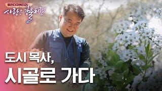 시골 교회를 살리기 위해 도시 목사, 시골로 가다 [휴먼다큐 사랑은강물처럼 35회 | 풍산교회 황연수 목사 편] #농촌 #농사 #귀농