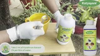 How to Use Katyayani Pyrethrin Insecticide || | Organic Farming || Agriculture #fyp  #insecticide