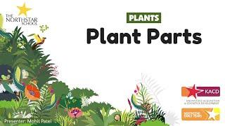 Plant Series 2 - Plants | Parts of Plants | Northstar Productions | The Northstar School