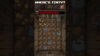 Where's Tinty? - Cellar (Tinted Rock Training)