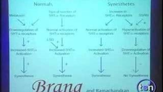 Part 3 - V.S. Ramachandran at Beyond Belief 2.0
