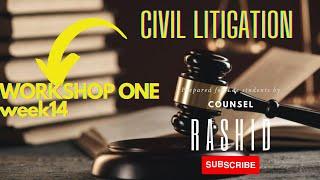 CIVIL LITIGATION