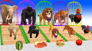 Paint Animals Elephant,Lion,Gorilla,Tiger,Chicken Fountain Crossing Transformation Animals Cartoon 2