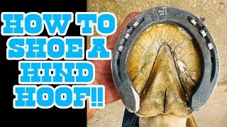 Let's Fix This Hind Hoof!!!