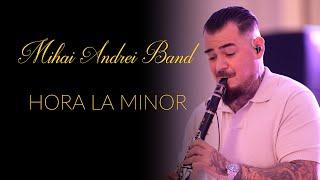 MIHAI ANDREI BAND  HORA LA MNOR  CLARINET