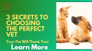 3 Secrets to Choosing the Perfect Vet Clinic in the UAE (Your Pet Will Thank You!)