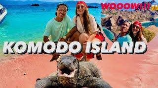 TRIP TO KOMODO ISLAND, PINK BEACH, PADAR, TAKA MAKASSAR FINALLY WE SAW THE DRAGONS