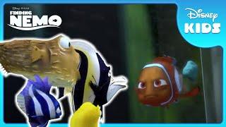 ️ The “Vortex of Terror” Awaits!  | Finding Nemo | Disney Kids
